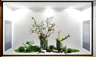 �����̻�ֲ������